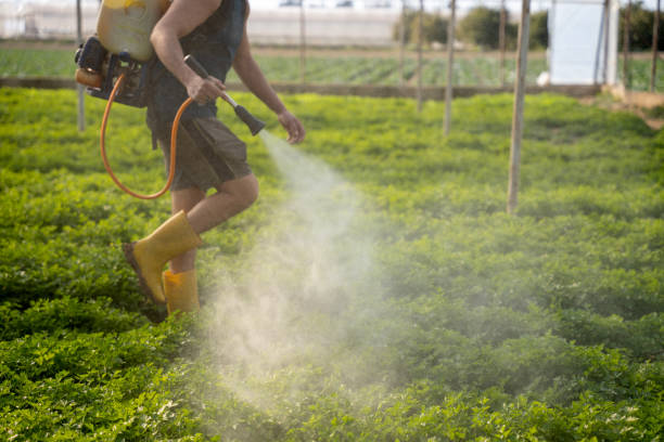 Best Wasp Removal Services  in Twinsburg, OH