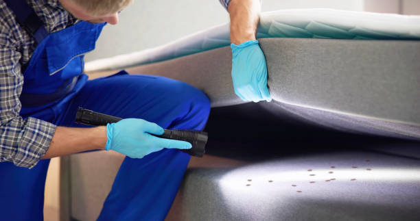 Best Rat Extermination Near Me  in Twinsburg, OH