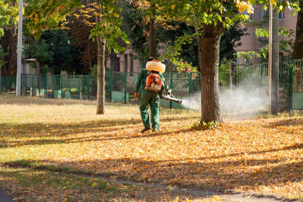 Best Flea Control Services  in Twinsburg, OH