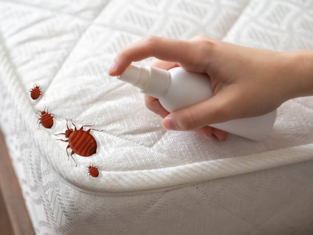 Flea Control Services in Twinsburg, OH
