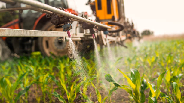 Best Ant Control Services  in Twinsburg, OH